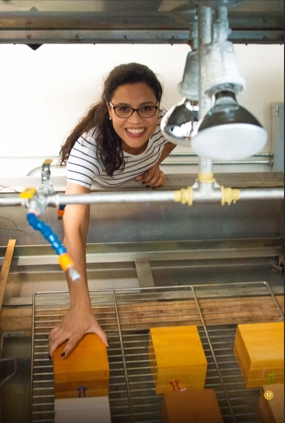 Dr. Gabi Bobadilha places treated blocks into the artificial weathering chamber.
