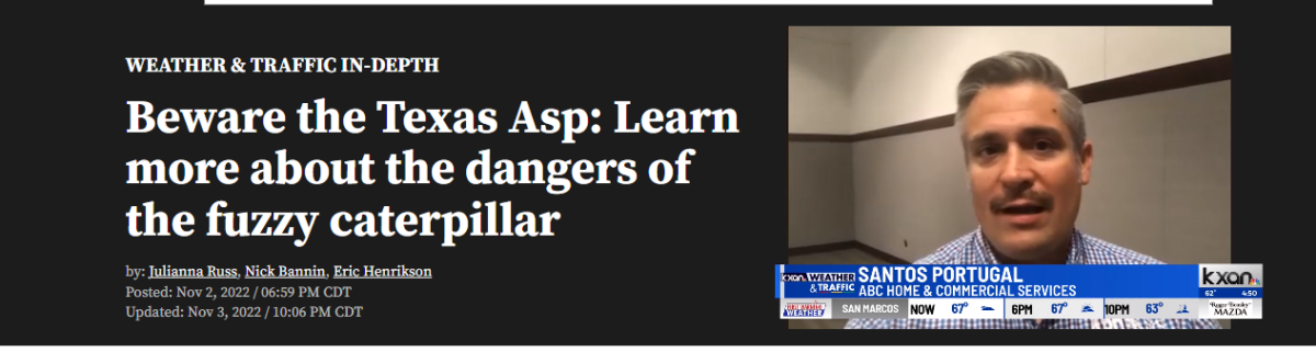 Still of video interview