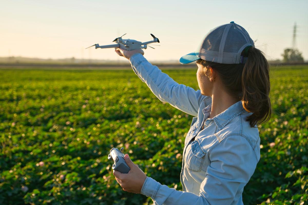 Early career female scientist in field clothes, standing in a field of young cotton. Her arm is outstretched and her palm open to release a small drone. There is nice warm lighting on the field and a wide open sky in the background. A good day for flying and collecting data.