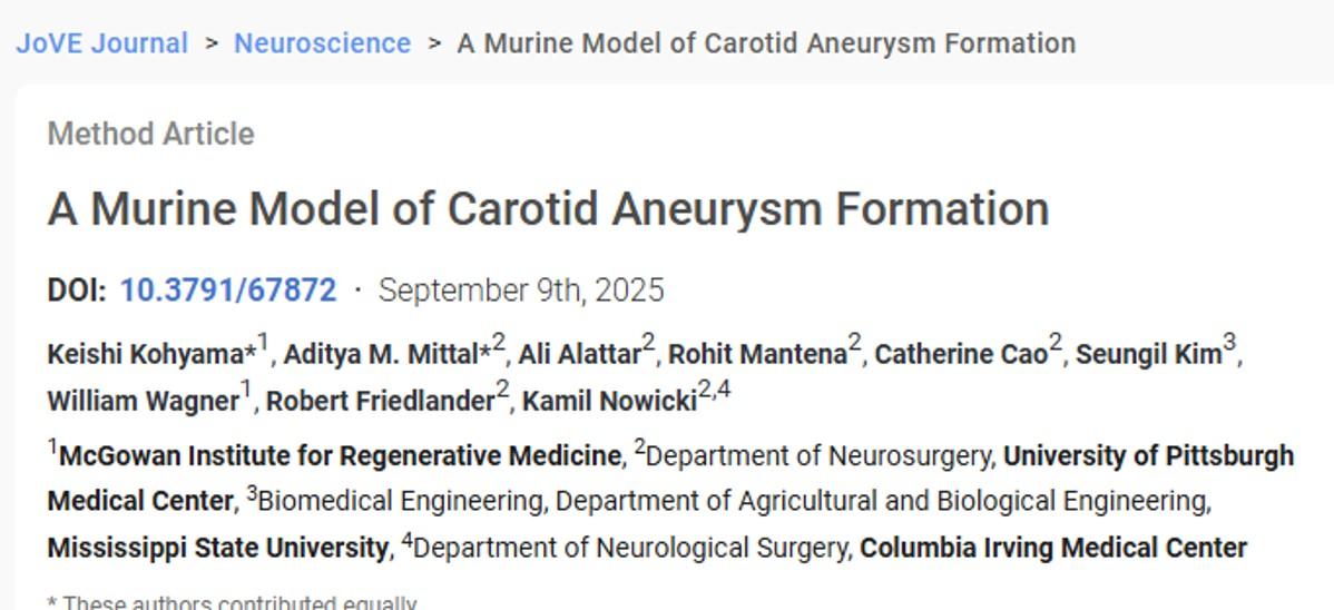 A Murine Model of Carotid Aneurysm Formation